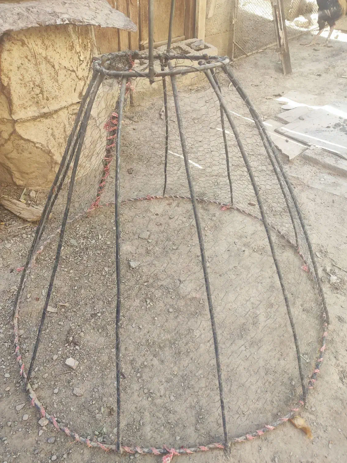 قفس فروشی|لوازم جانبی حیوانات|سراوان, |دیوار