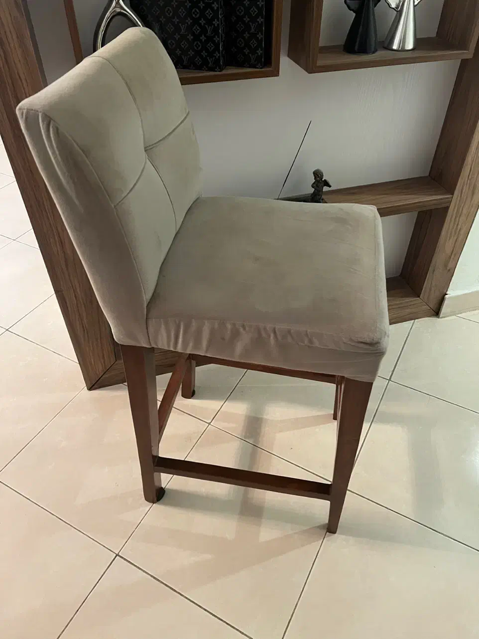 صندلی|میز و صندلی غذاخوری|رشت, کاکتوس|دیوار