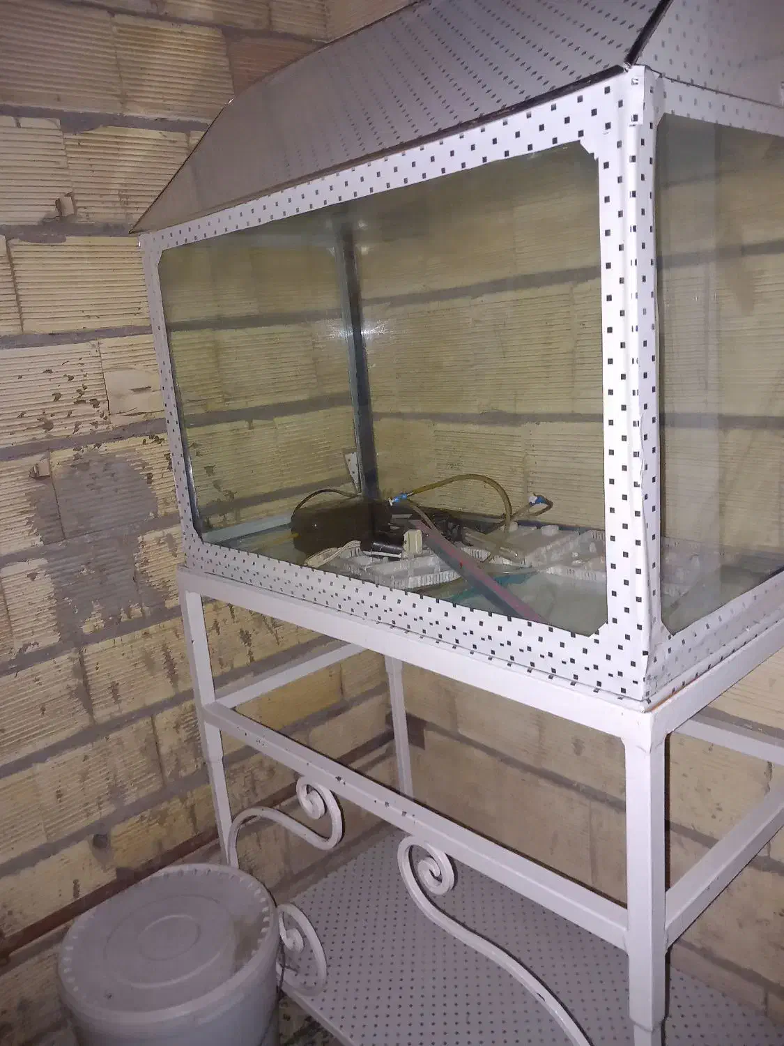 آکواریوم با پایه|ماهی|رشت, معلولین|دیوار