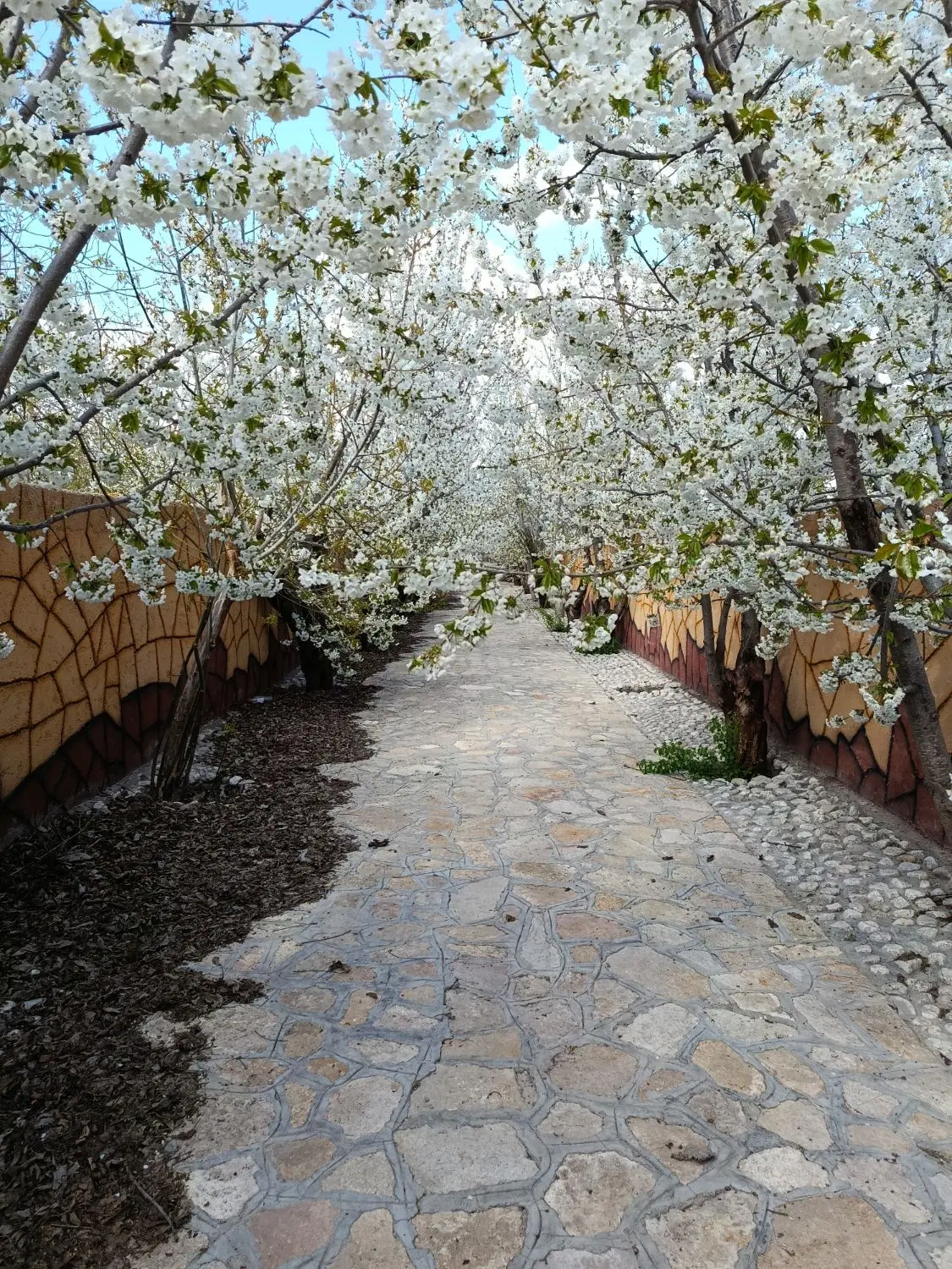 تصویر 9