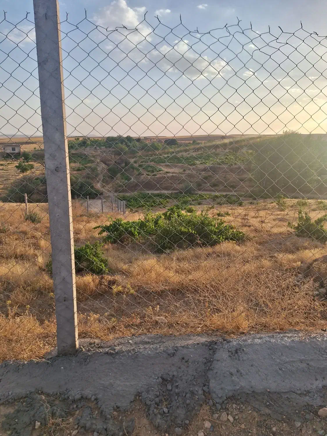 باغ و دامداری|فروش زمین و ملک کلنگی|کرانی, |دیوار