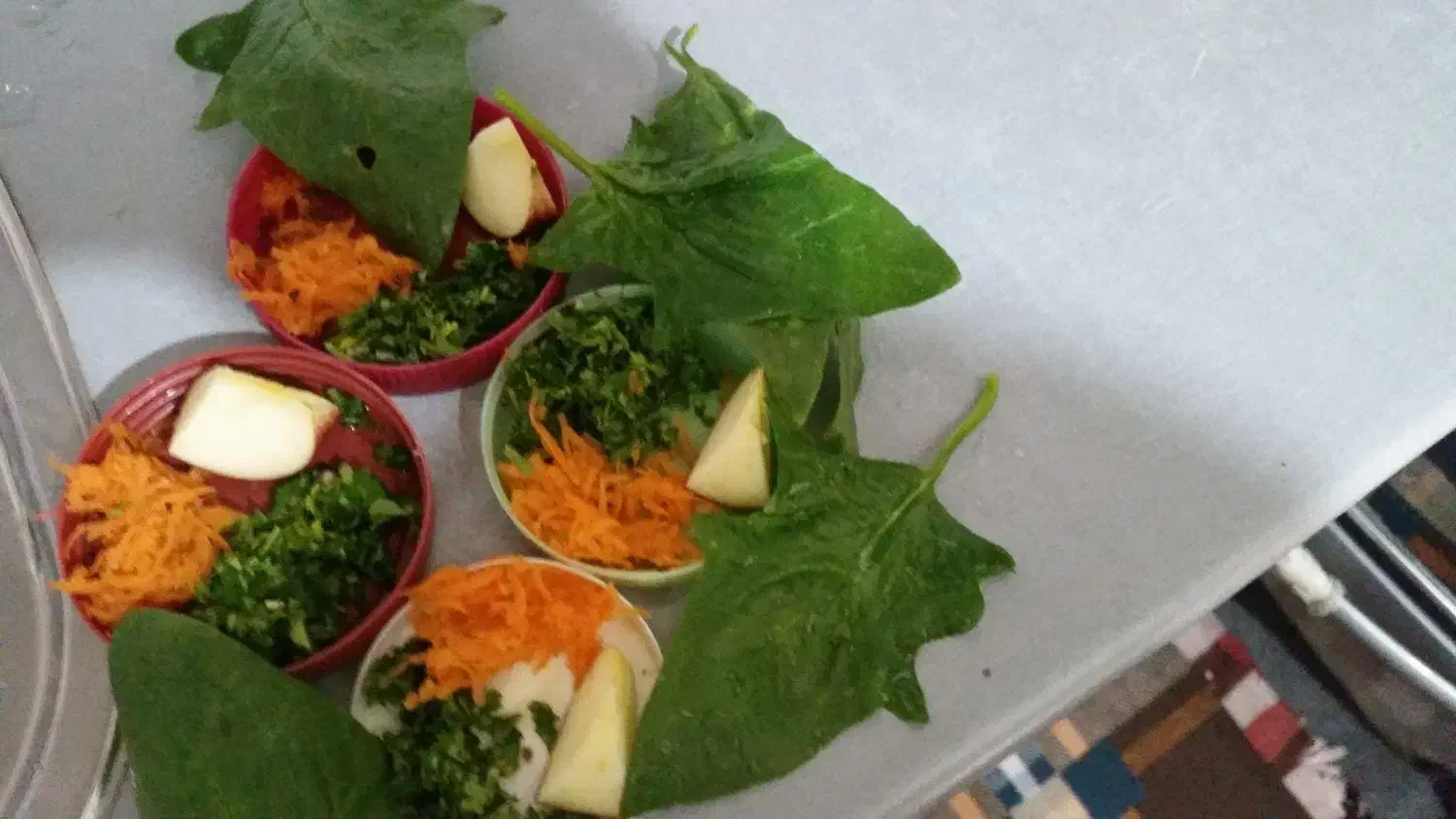 قناری گلاستر|پرنده|سهند, |دیوار