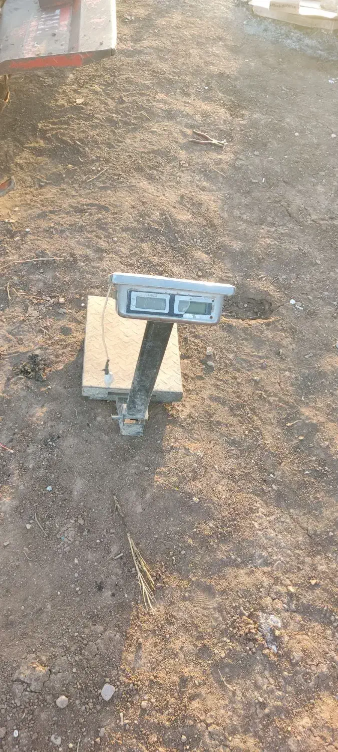 ترازو|سایر لوازم برقی|قزوین, |دیوار