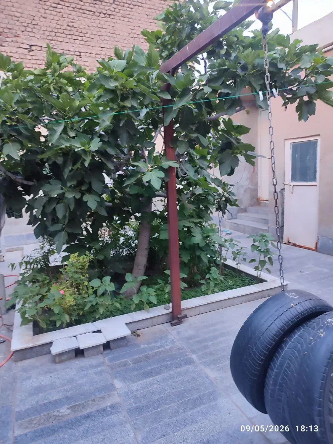 تصویر 6