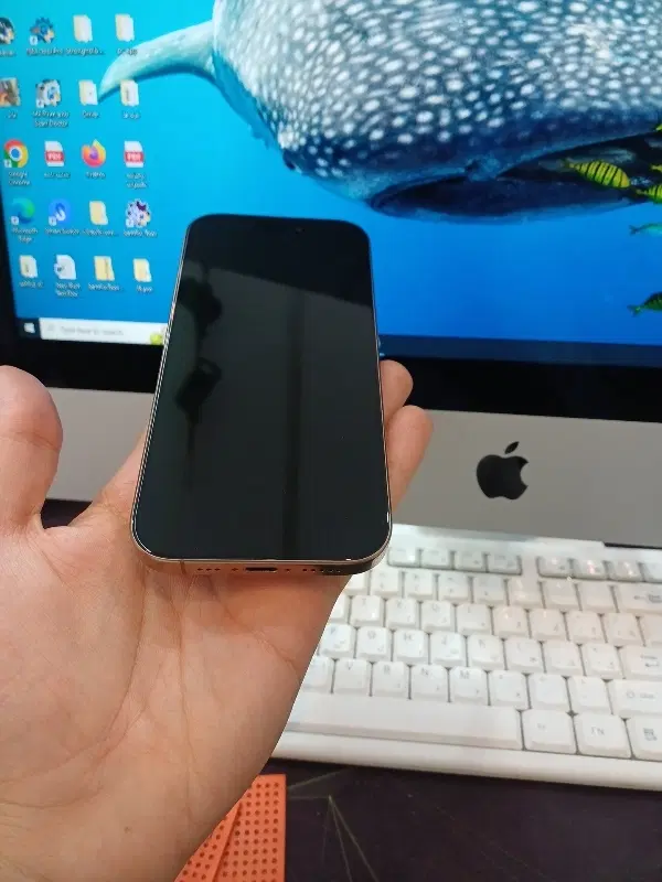 16pro zaa 256|موبایل|رودهن, |دیوار