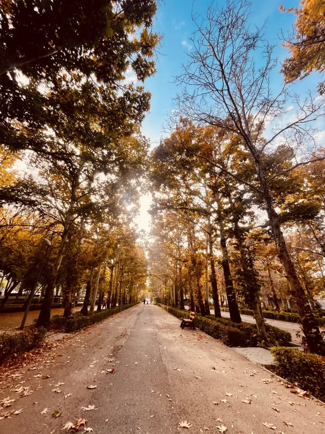 عکاسی پاییزه ویژه ابان ماه (با چاپ عکس ها و ویدیو)|خدمات پذیرایی، مراسم|بجنورد, |دیوار