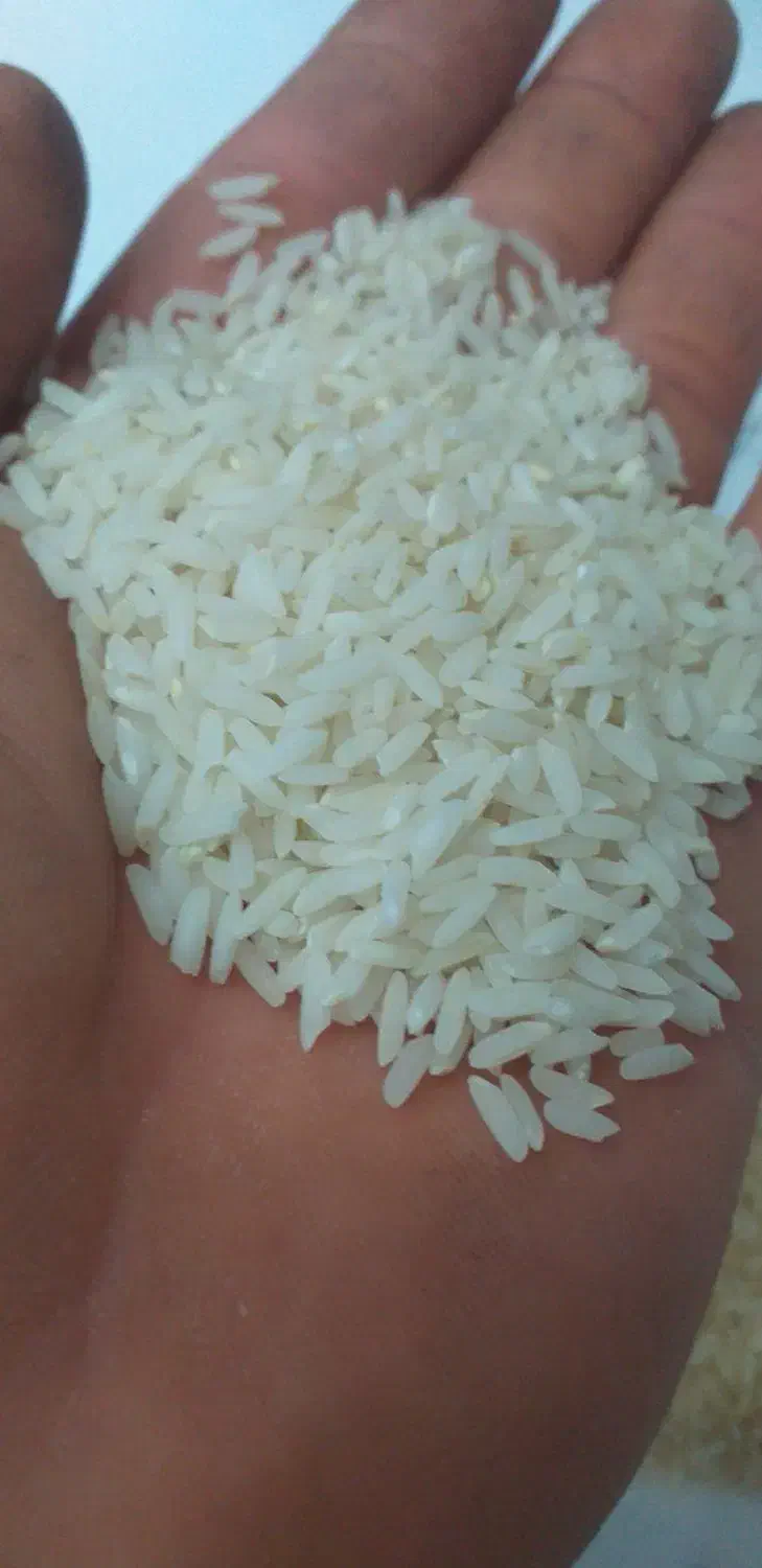 برنج میانه|خوردنی و آشامیدنی|میانه, |دیوار