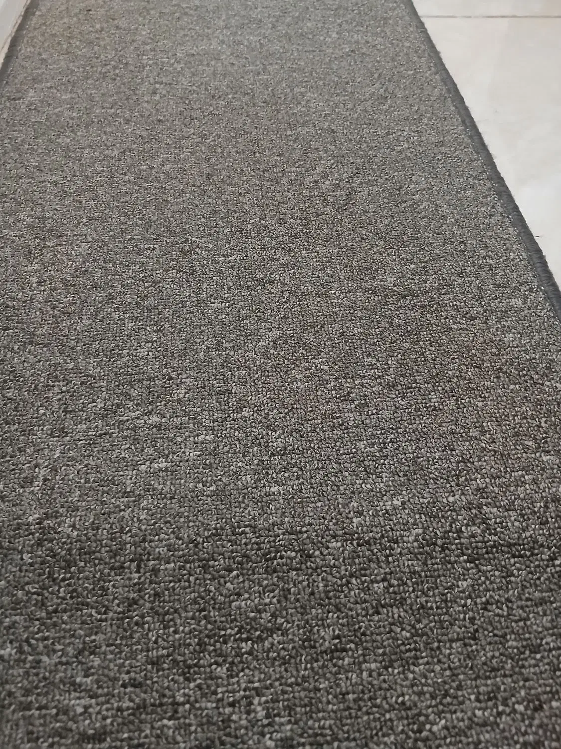 موکت|موکت|اهواز, سپیدار|دیوار