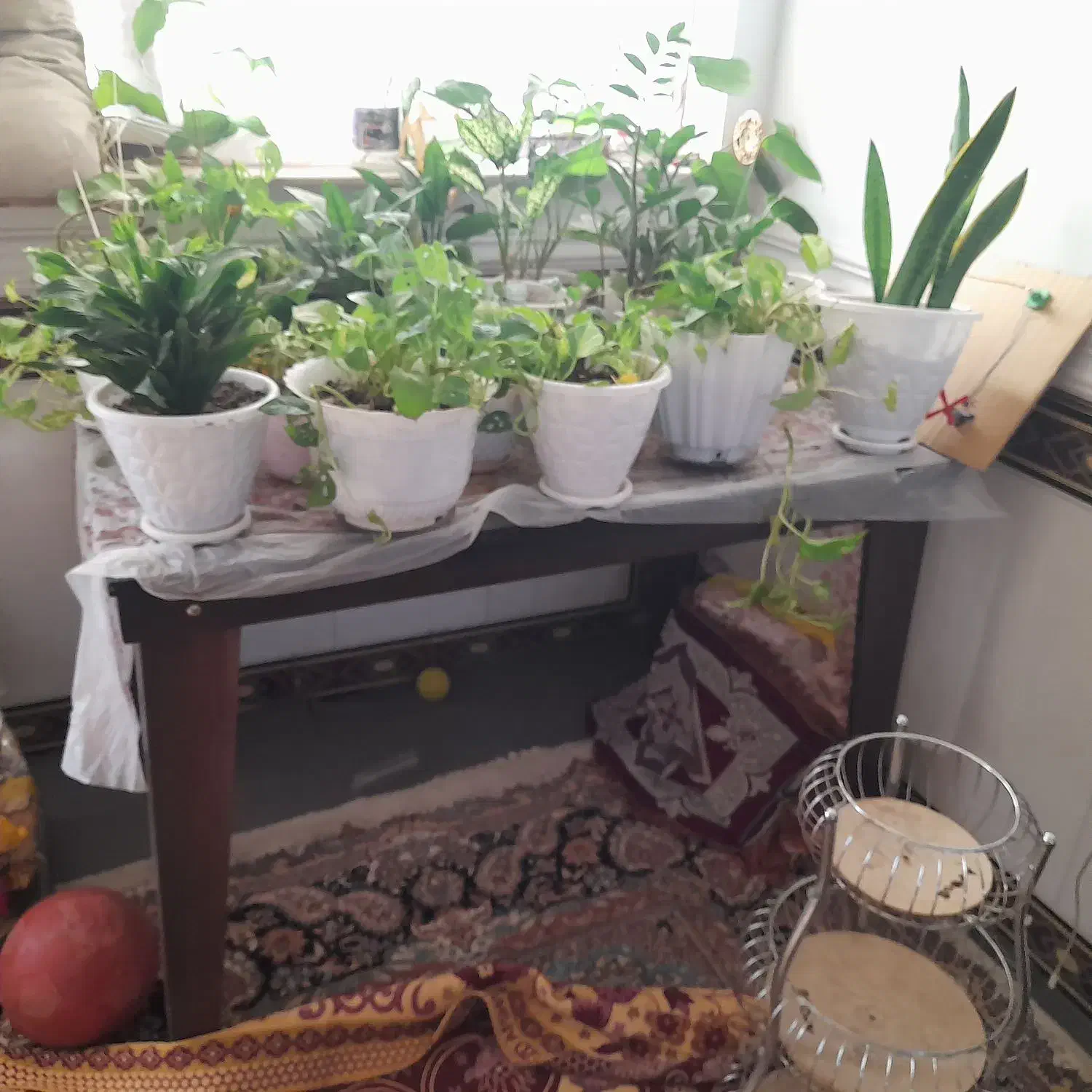 صندلی آشپزخانه|میز و صندلی غذاخوری|فاضل آباد, |دیوار