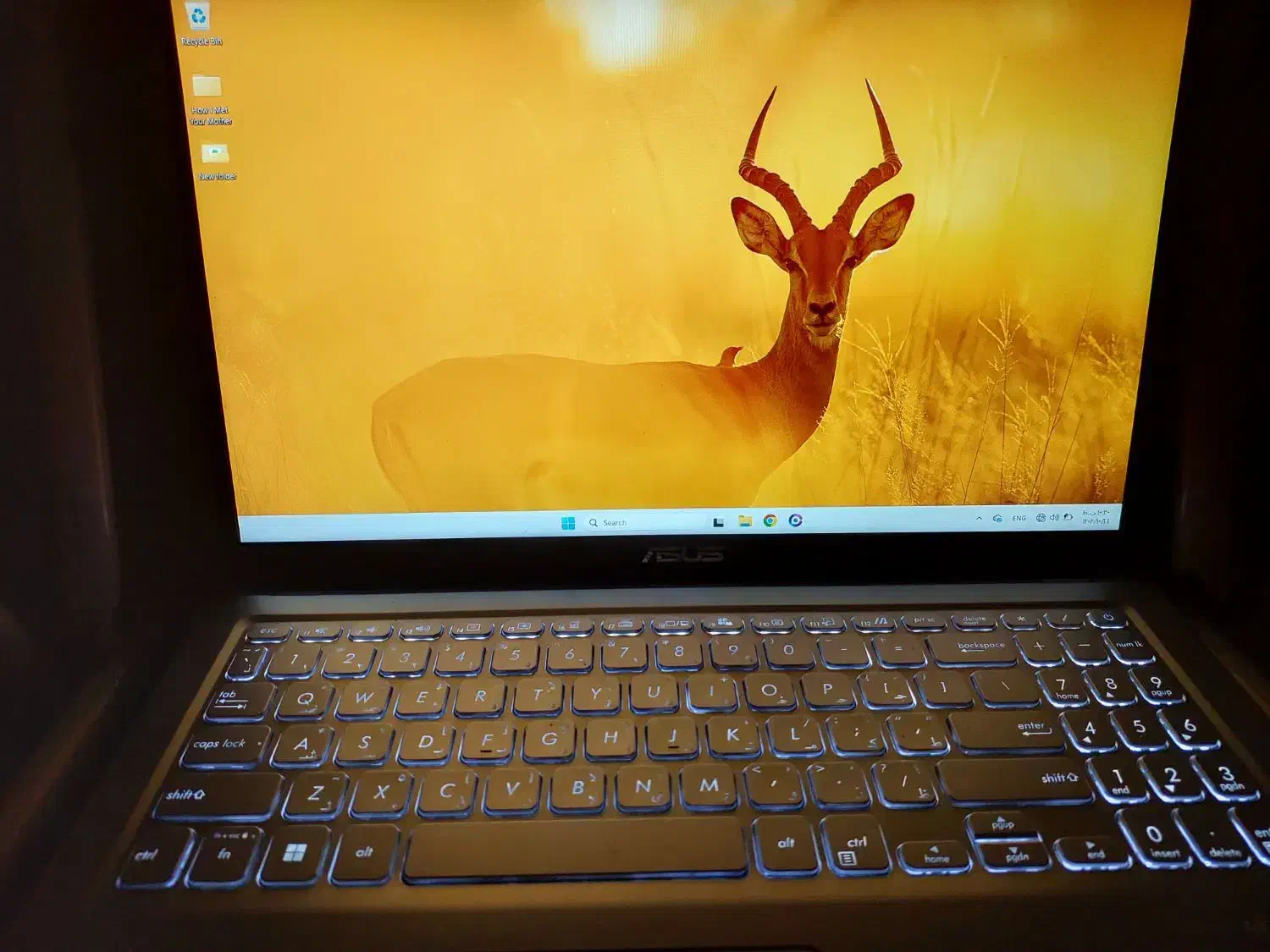 حراج وسایل مهاجرت|حراج|صفادشت, |دیوار