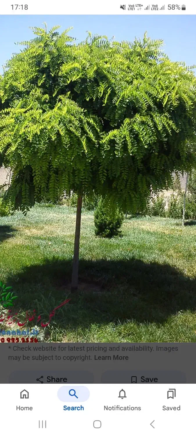 نگهبانی(لابی من) در برج مسکونی|استخدام سرایداری و نظافت|تبریز, |دیوار