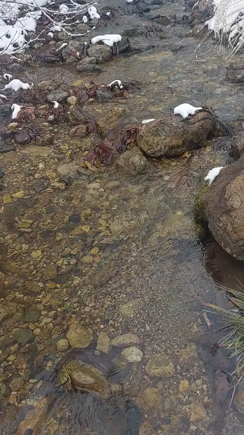 آب چشمه|خوردنی و آشامیدنی|تهران, دریا|دیوار