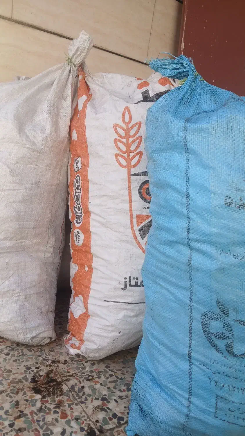 زغال دورشت کبابی|کوهنوردی و کمپینگ|ایذه, |دیوار