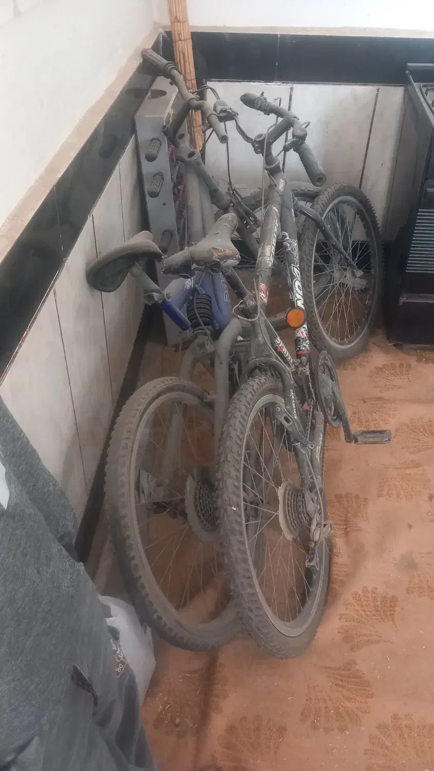 دوعدد دوچرخه ۲۴|دوچرخه، اسکیت، اسکوتر|آزادشهر, |دیوار