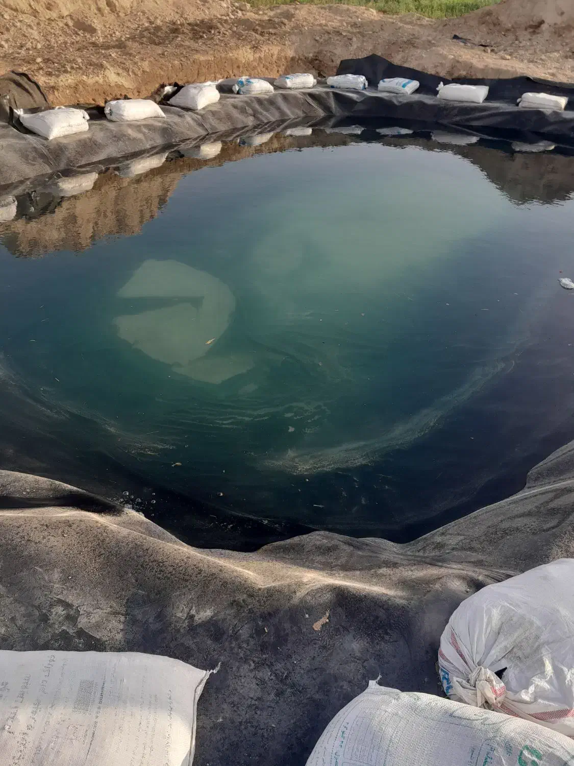 زمین کشاورزی|فروش زمین و ملک کلنگی|زیویه, |دیوار