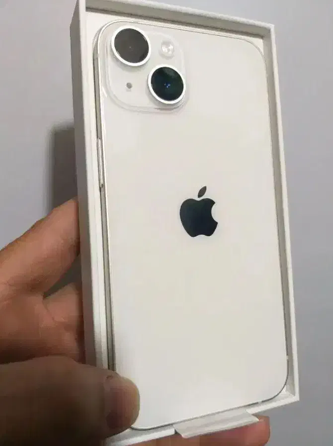 اپل آیفون Apple iPhone 14 Normal - یکسال بیمه|موبایل|کرج, گلشهر|دیوار
