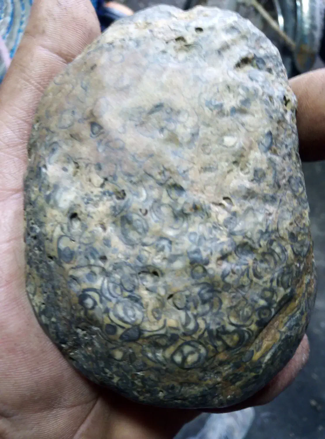 شهاب سنگ، الماس سبز کهکشانی|جواهرات|تهران, بازار|دیوار