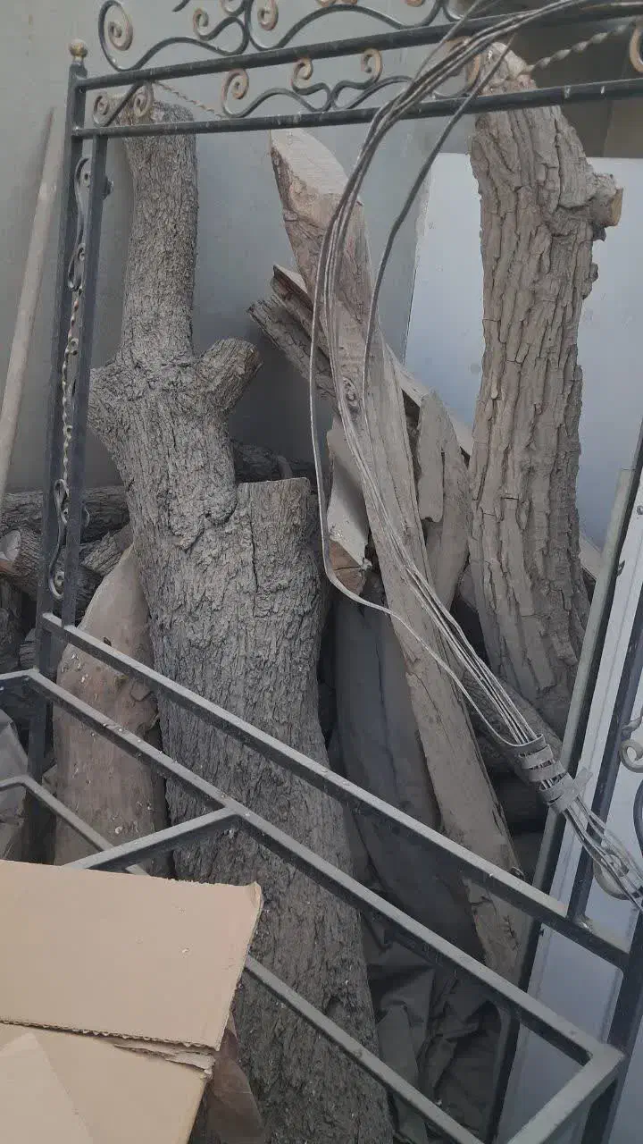 چوب بادام خوش رنگ|خدمات باغبانی و درختکاری|قمرود, |دیوار