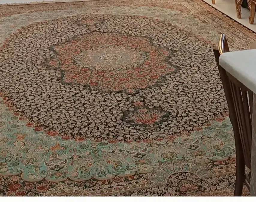 فرش دوازده متری گل رز|فرش|قرچک, میرزائی جنوبی|دیوار