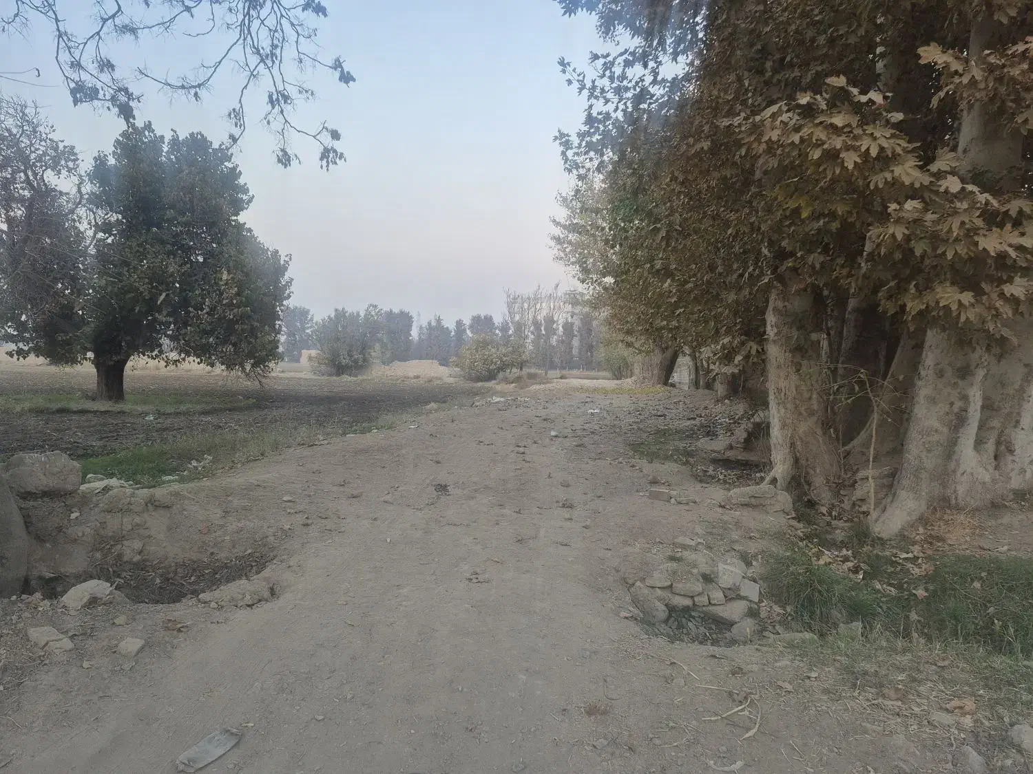 ۱۹۰۰۰ هزار متر زمین سنددار چهاردانگه گلشهر|فروش زمین و ملک کلنگی|چهاردانگه (تهران), |دیوار