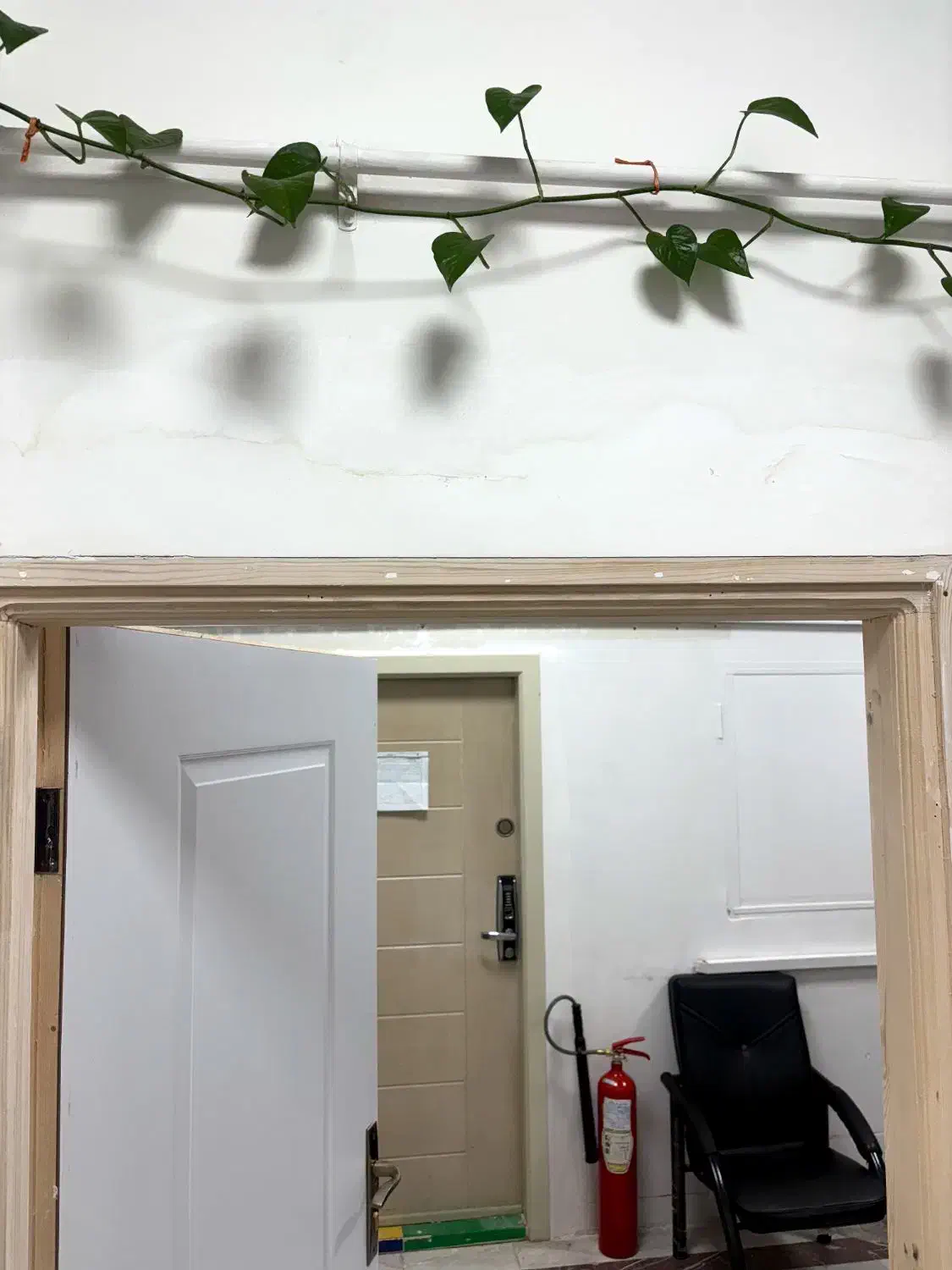 نقاشی ساختمان ، تخریب بتن و دیوار|خدمات پیشه و مهارت|علی‌آباد کتول, |دیوار