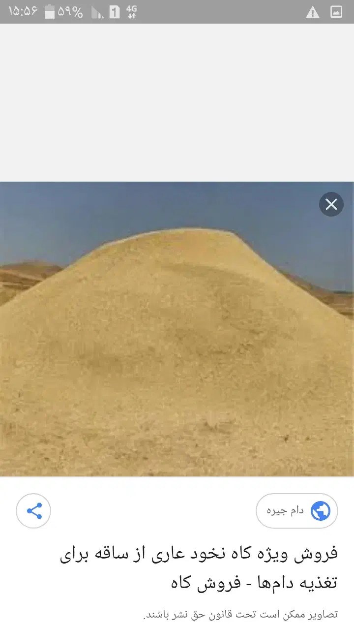 کاه تمیز وریز|حیوانات مزرعه|سنقر, |دیوار