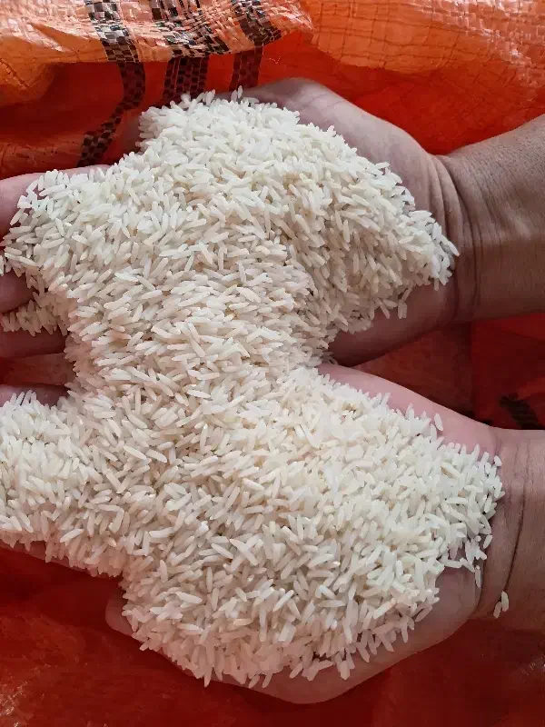 برنج صدری دمسیاه|خوردنی و آشامیدنی|کوچصفهان, |دیوار