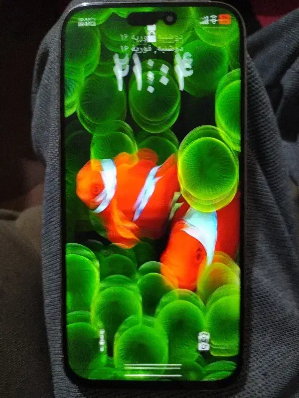 آیفون 16|موبایل|خوی, |دیوار