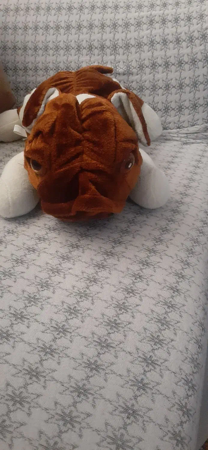 عروسک سگی|اسباب‌‌بازی|ری, شهادت|دیوار