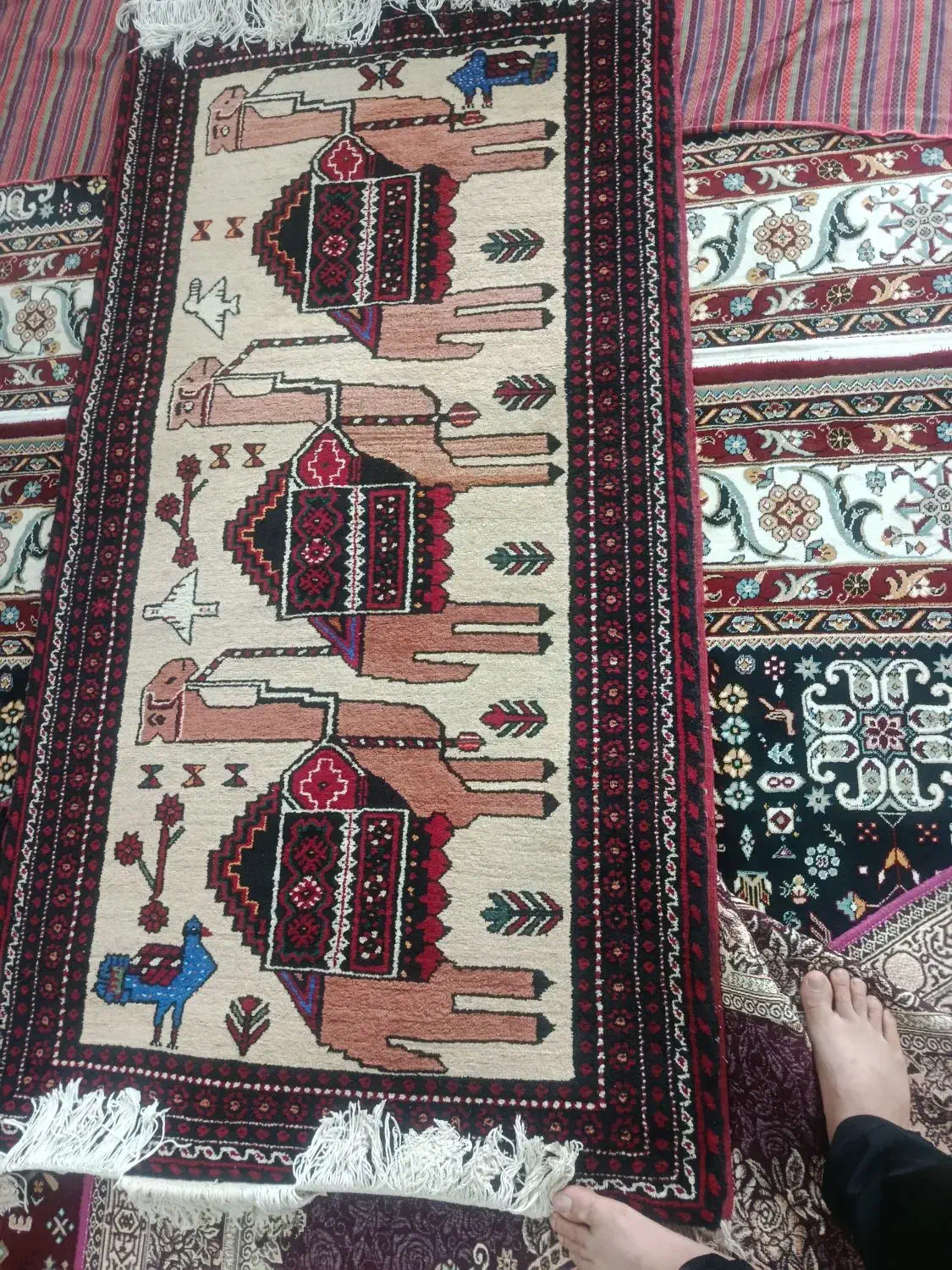 قالیچه|فرش|بجستان, |دیوار