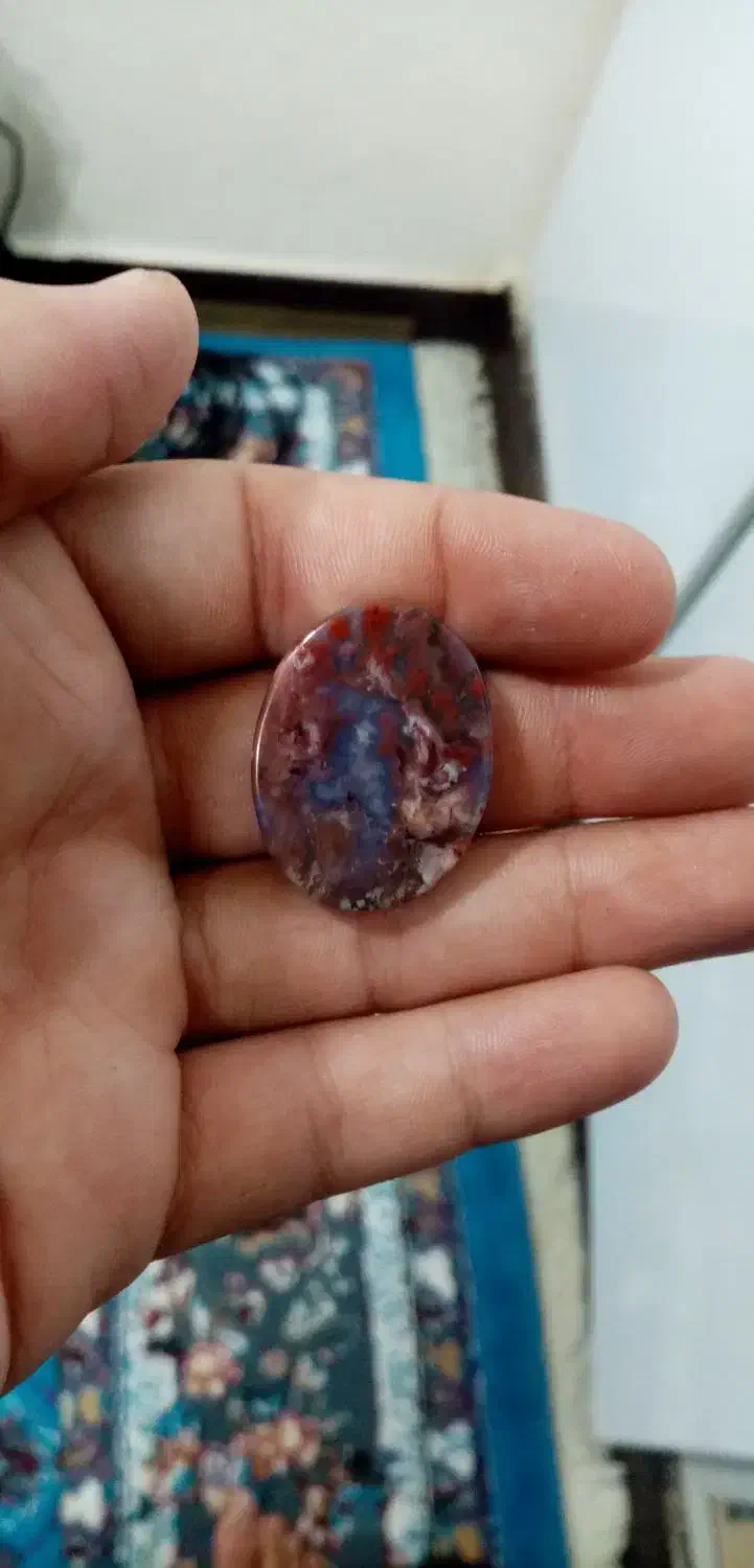 شجر دریای گل عناری|کلکسیون و سرگرمی|اهواز, پردیس|دیوار