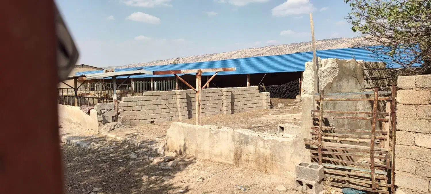 گاوداری ۴هزار متری به همراه باغ۶هزار متری|فروش دفتر صنعتی، کشاورزی، تجاری|ایوان, |دیوار