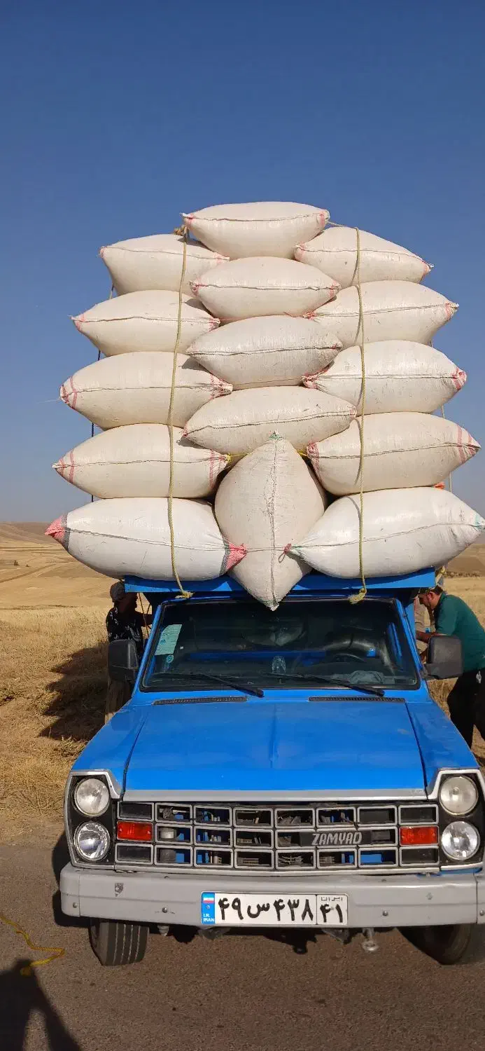 کاه گندم|خدمات باغبانی و درختکاری|دورود, |دیوار