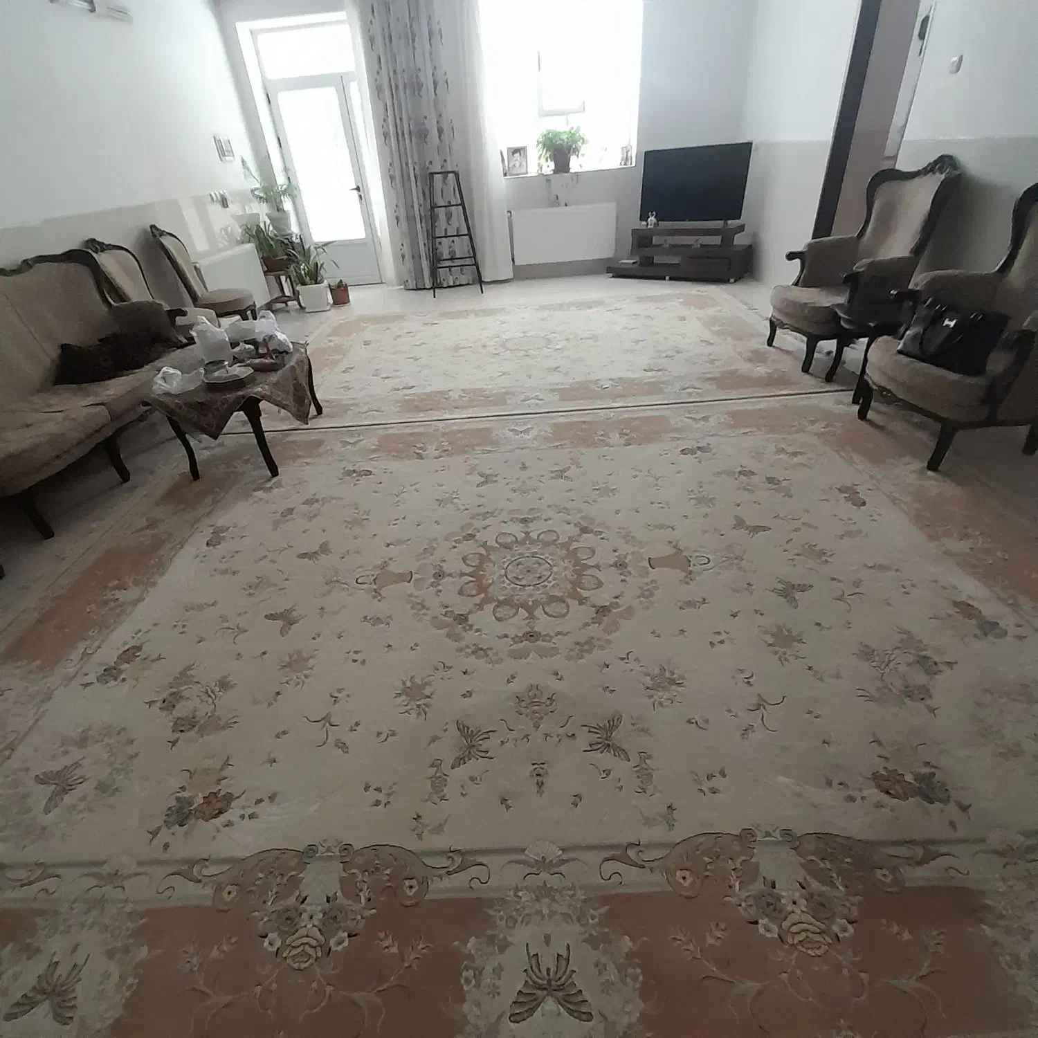 فرش ۱۲ متری|فرش|مهریز, |دیوار