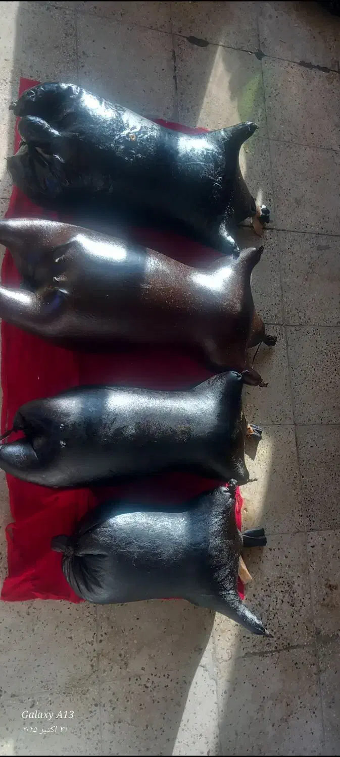 هیزه|مجسمه، تندیس، ماکت|اسلامآباد غرب, |دیوار