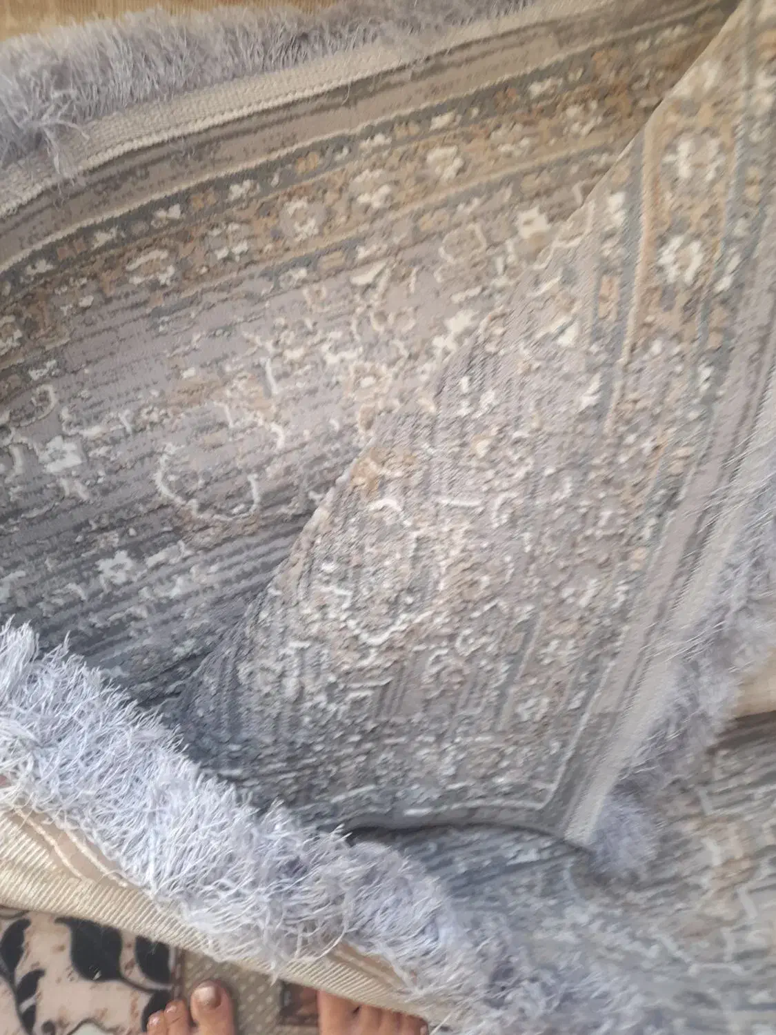 فرش ۹متری در حد نو|فرش|پرند, فاز ۶|دیوار