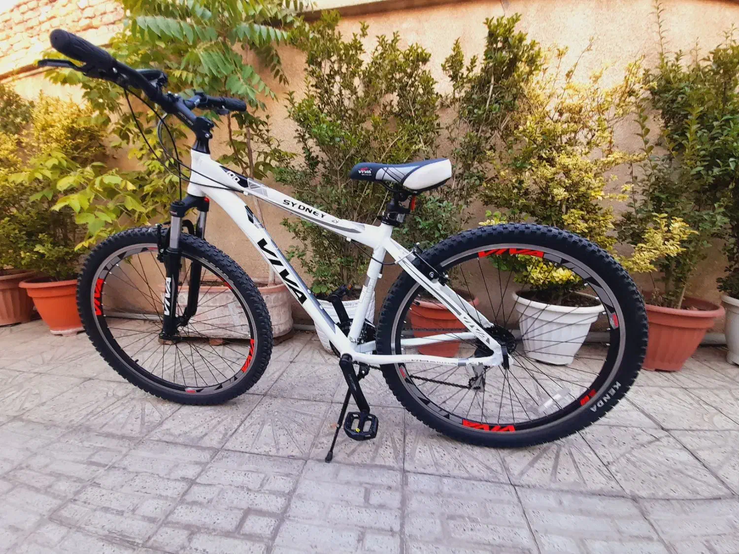 دوچرخه ویوا ۲۹ - در حد نو + باربند|دوچرخه، اسکیت، اسکوتر|فردیس, انبار نفت|دیوار