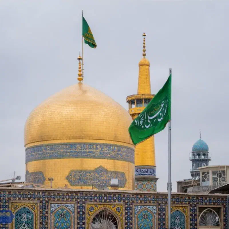 رفسنجان به مشهد|تور و چارتر|رفسنجان, |دیوار