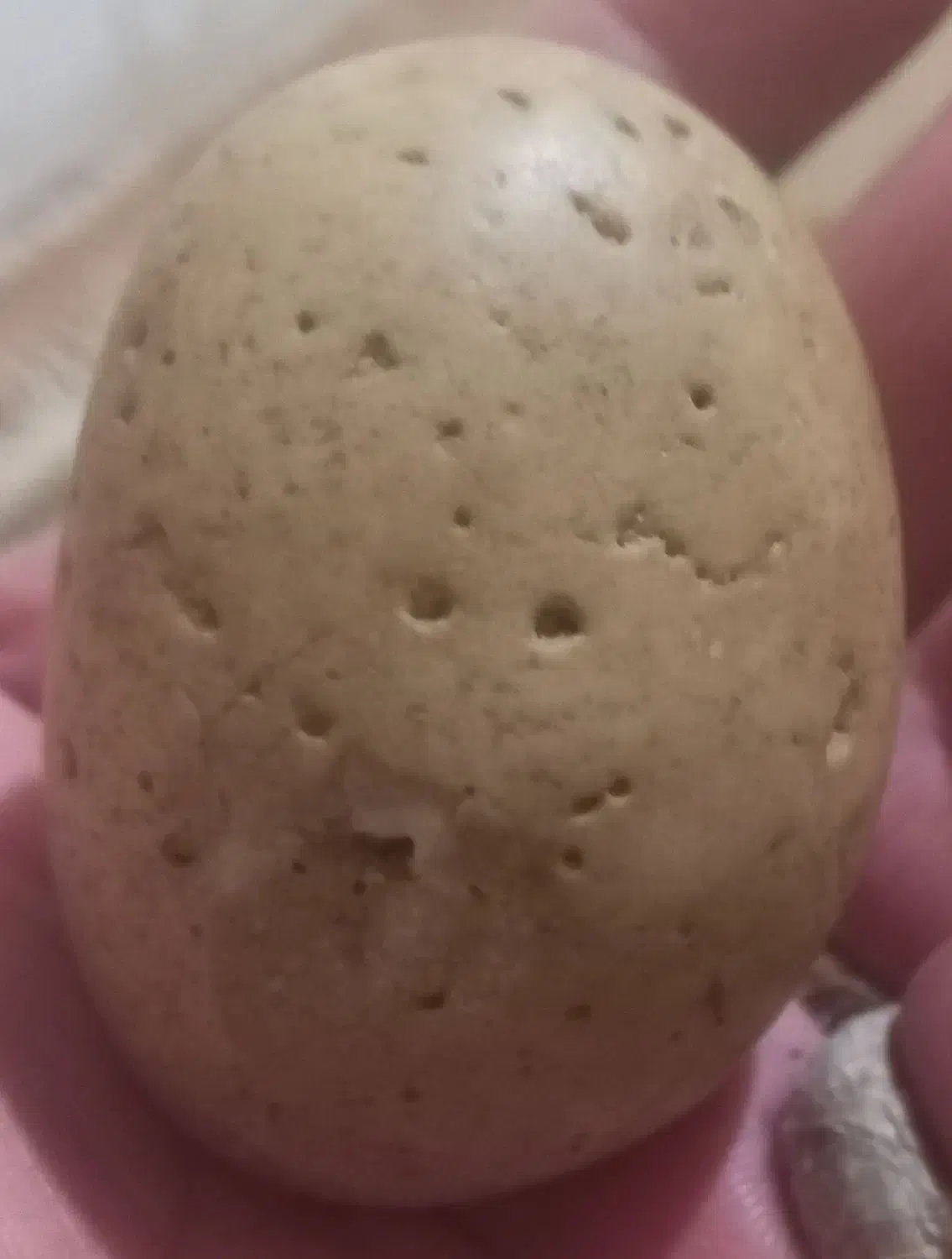 سنگ شهاب|کلکسیون و سرگرمی|اصفهان, بوستان ناژوان|دیوار