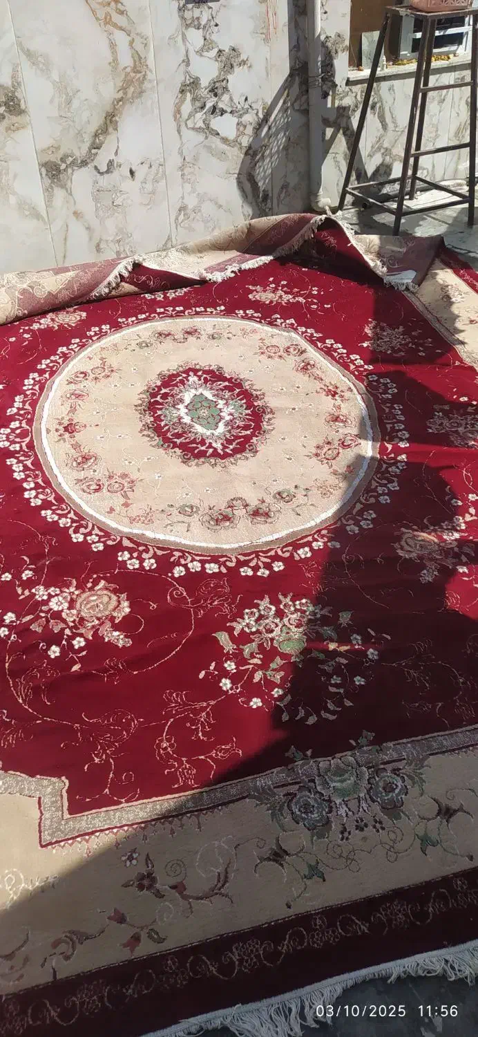 فرش ۱۲ متری|فرش|همدان, |دیوار