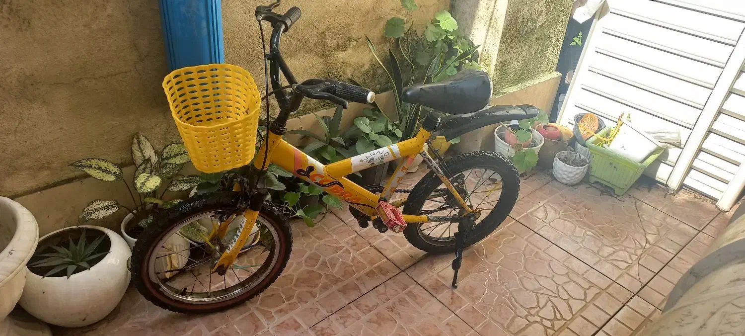 دوچرخه سایز ۱۶|دوچرخه، اسکیت، اسکوتر|لاهیجان, گلستان|دیوار