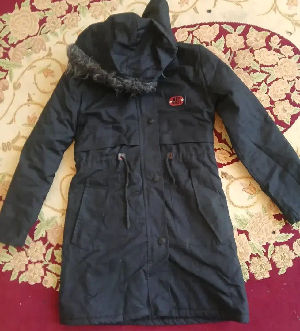 دو عدد کاپشن دخترانه دوتاش مثل هم هس|لباس|مرودشت, پشت سایپا|دیوار