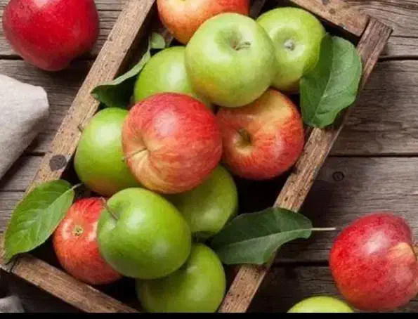 استخدام صندوقدار شعبه یوسف آباد|استخدام خدمات فروشگاه و رستوران|تهران, جهاد|دیوار