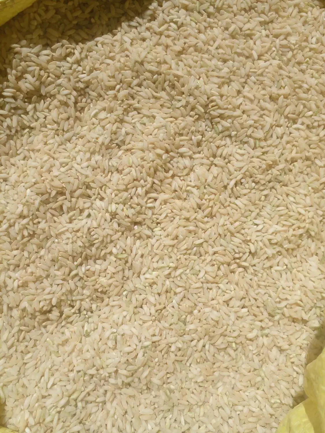 برنج چمپا|خوردنی و آشامیدنی|دهدشت, |دیوار