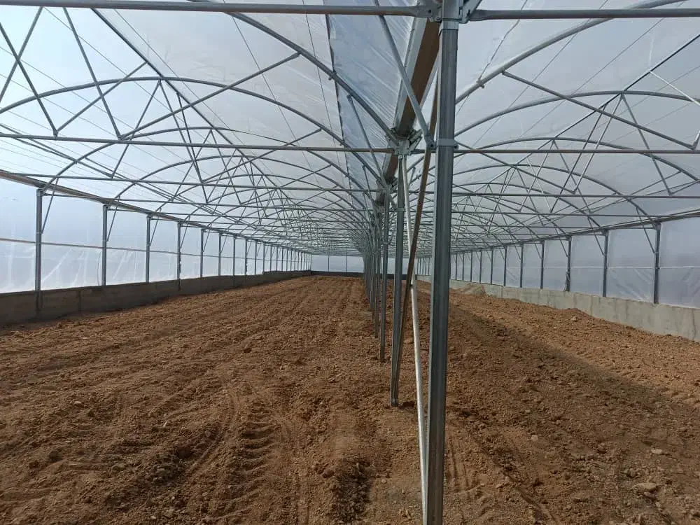 فروش یک واحد گلخانه نیمه صنعتی|فروش زمین و ملک کلنگی|دورود, |دیوار