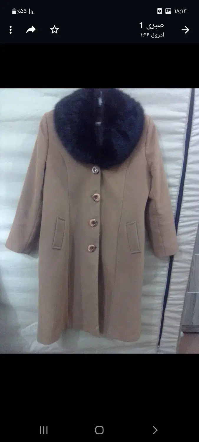 پالتوفوتر درحدنو|لباس|قروه, |دیوار