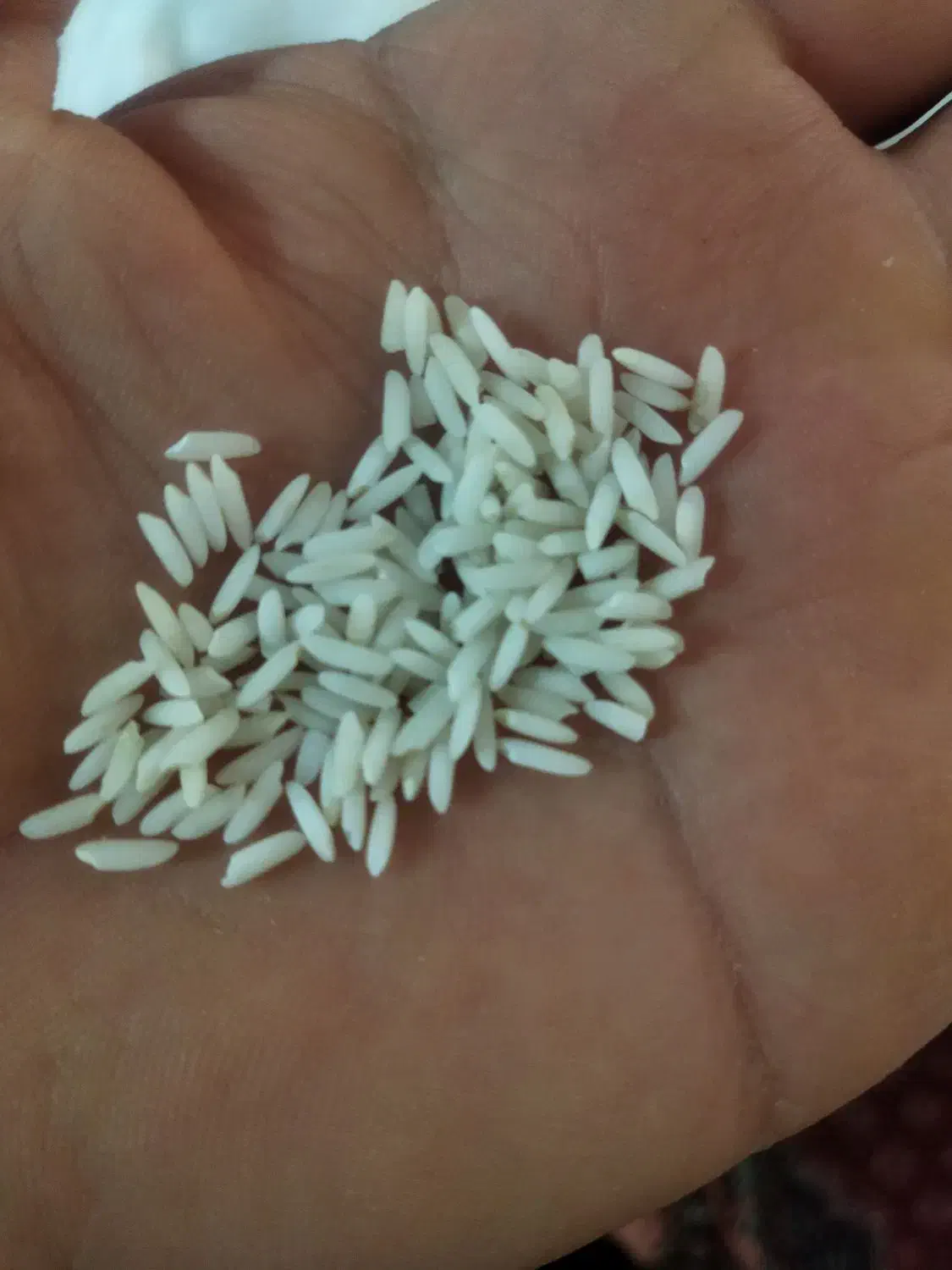 برنجمحلیدورود|خوردنی و آشامیدنی|سیلاخور, |دیوار