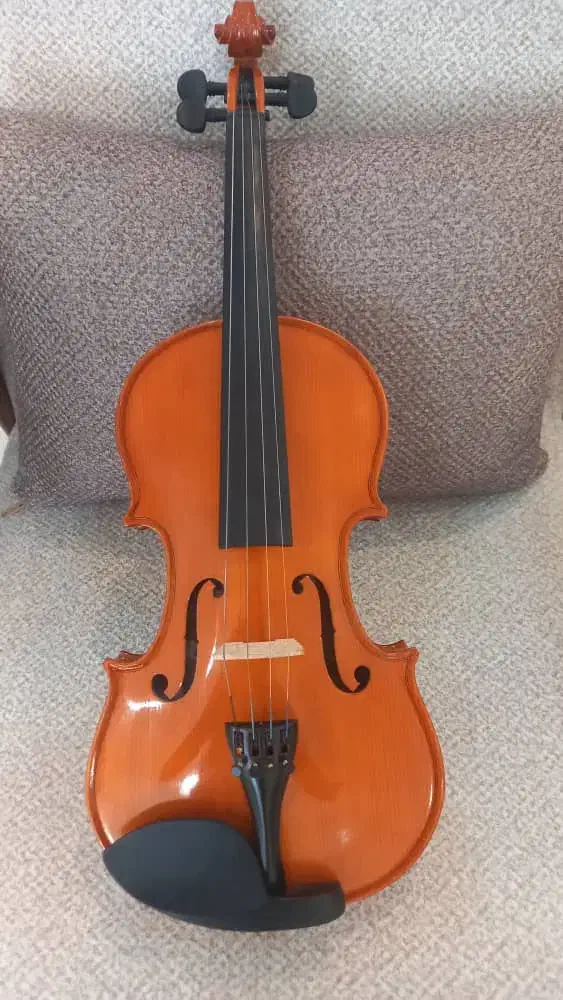 ویولن والنسیا|ویولن|گرگان, |دیوار