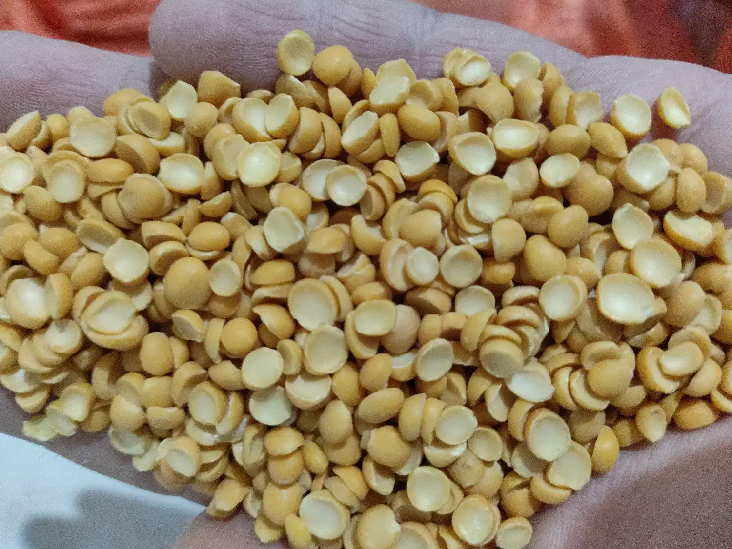 پخش عمده حبوبات|عمدهفروشی|کرج, شهرک صنعتی بهارستان|دیوار