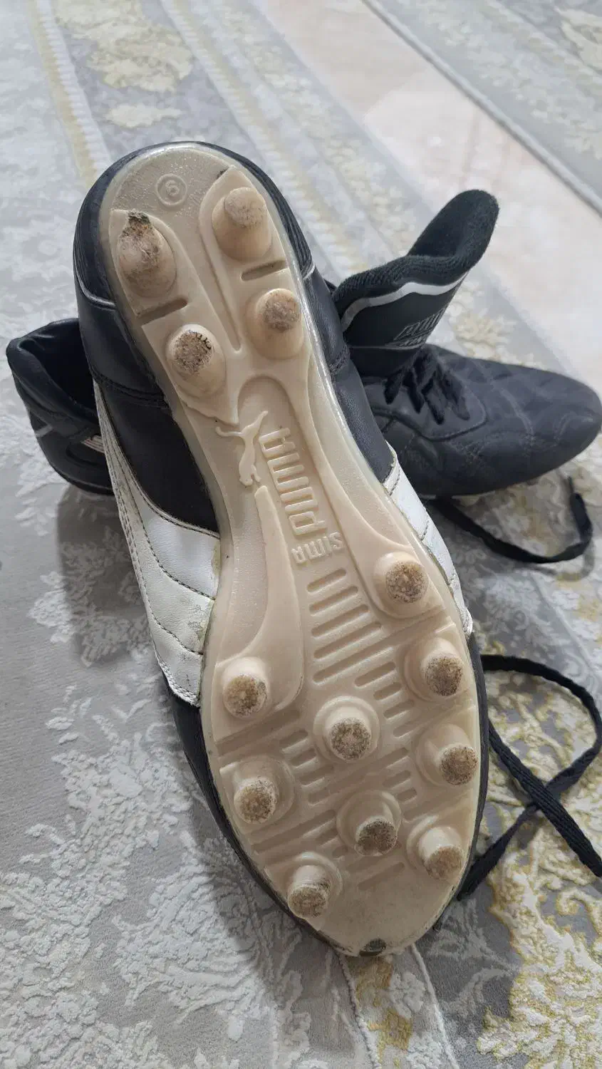 کفش استوک دار چمن|کیف، کفش، کمربند|نورآباد, |دیوار